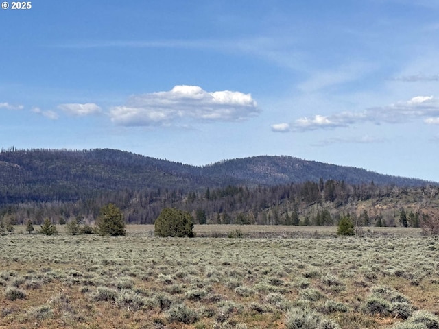 Oregon Pines Rd Unit Tl 2000, Beatty, OR 97621