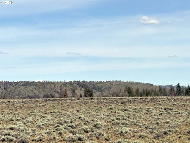 Oregon Pines Rd Unit Tl 2000, Beatty, OR 97621