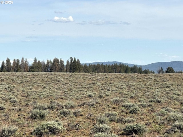 Oregon Pines Rd Unit Tl 2000, Beatty, OR 97621