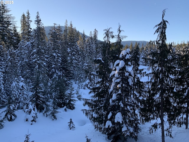 view of mountain background featuring a heavily wooded area