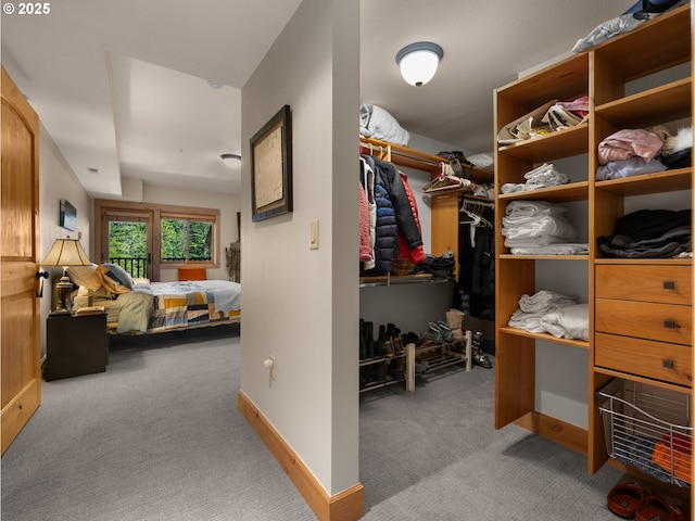 spacious closet with carpet floors