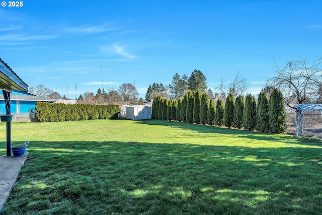 view of yard featuring an outbuilding, fence, and a shed