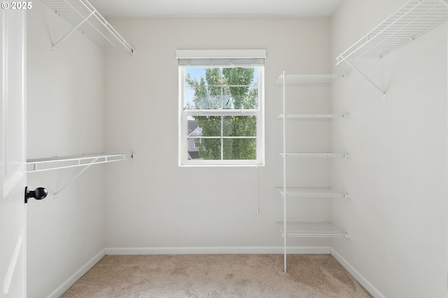 10090 NW Bartlett Loop, North Plains, OR 97133 - spacious closet with carpet flooring