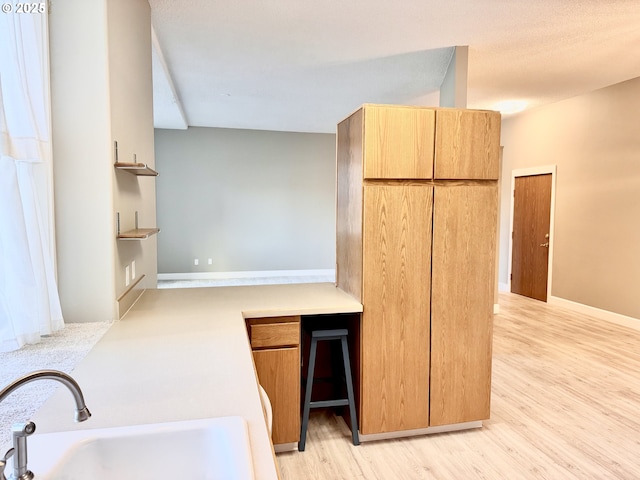 kitchen with sink and light wood-type flooring