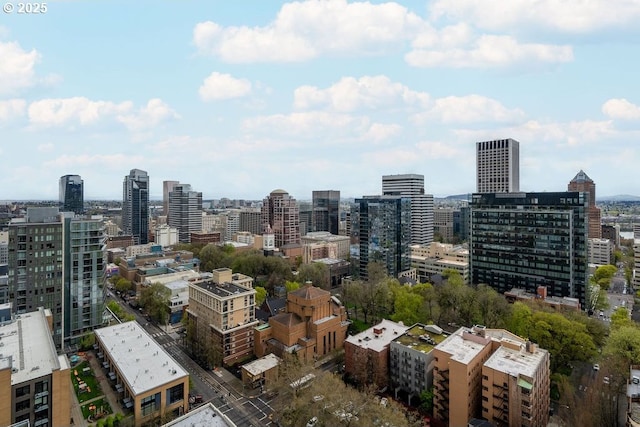 1500 SW 11th Ave Unit 2404, Portland, OR 97201 - view of city
