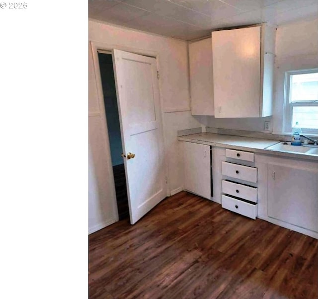 kitchen with dark wood-type flooring and sink