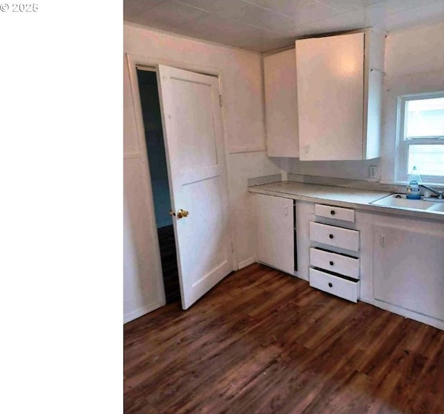 kitchen featuring sink and dark hardwood / wood-style flooring