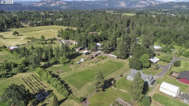 birds eye view of property with a mountain view