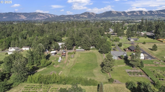 drone / aerial view featuring a mountain view