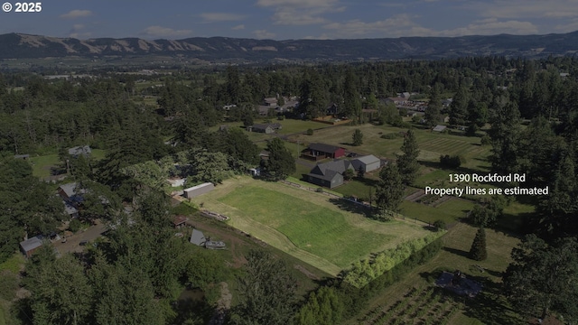 birds eye view of property with a mountain view and a rural view