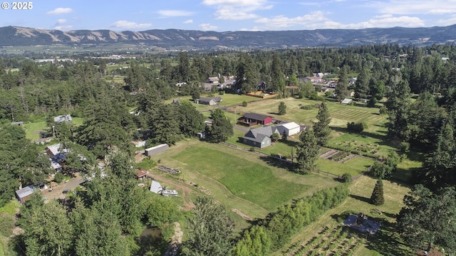 birds eye view of property featuring a mountain view and a rural view