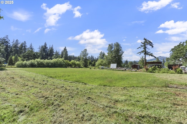 view of yard with a rural view