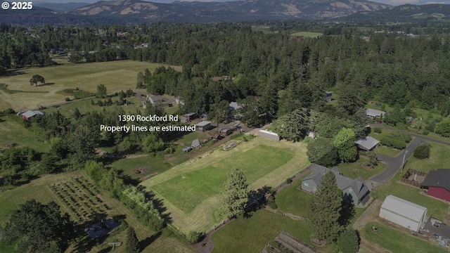 drone / aerial view featuring a mountain view and a rural view