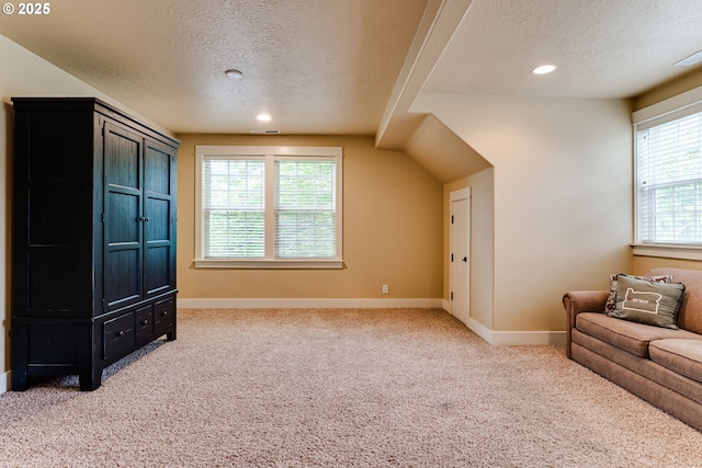additional living space with baseboards, plenty of natural light, a textured ceiling, and light colored carpet