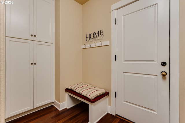 mudroom featuring baseboards and dark wood-style flooring