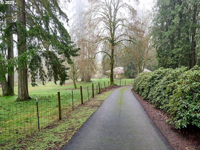 view of community with a yard