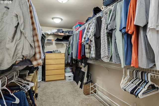 walk in closet featuring carpet