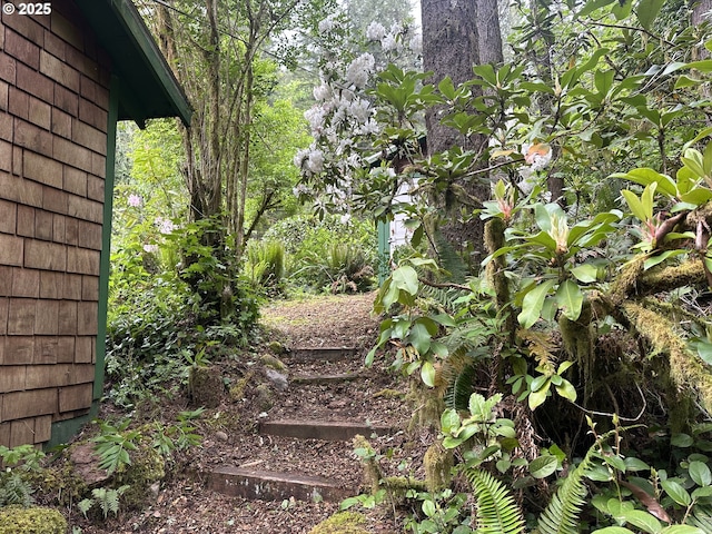 26015 NE Lucia Falls Rd, Yacolt, WA 98675 - view of yard