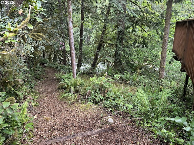 26015 NE Lucia Falls Rd, Yacolt, WA 98675 - view of tree filled area