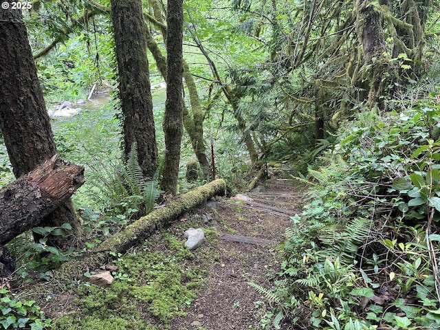 26015 NE Lucia Falls Rd, Yacolt, WA 98675 - view of woods
