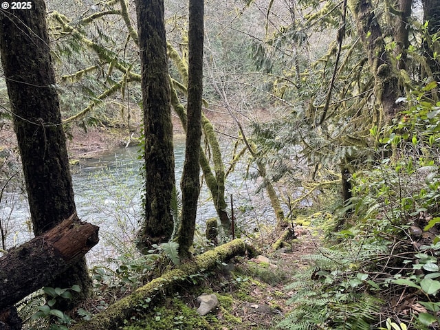 26015 NE Lucia Falls Rd, Yacolt, WA 98675 - water view