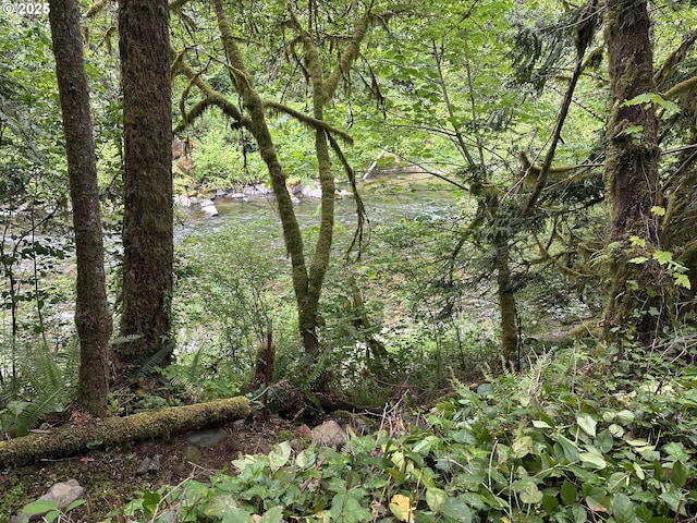 26015 NE Lucia Falls Rd, Yacolt, WA 98675 - view of woods