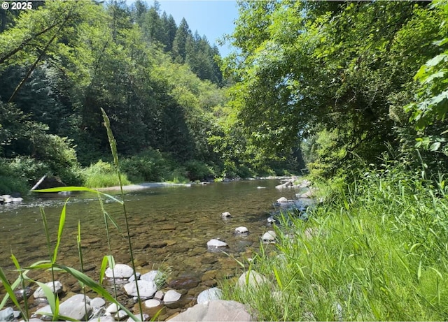 26015 NE Lucia Falls Rd, Yacolt, WA 98675 - view of yard featuring a wooded view