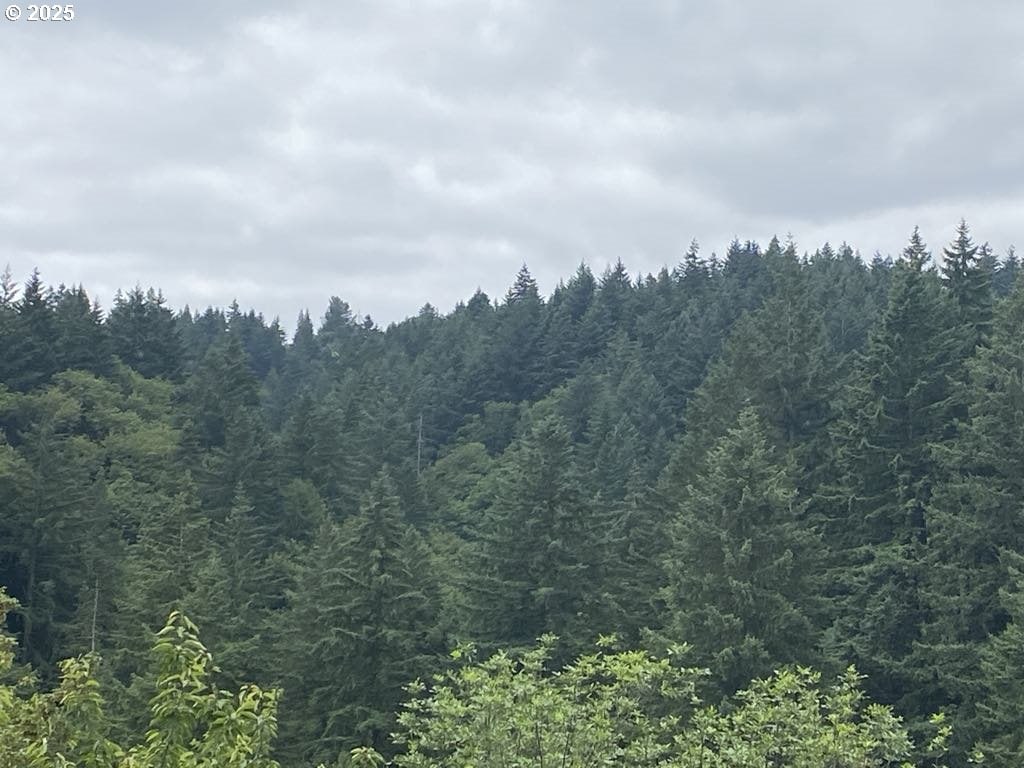 1132 SW Broadway Dr, Portland, OR 97201