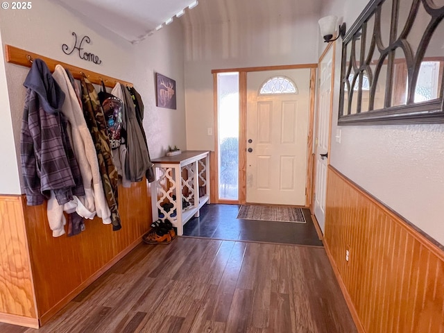 entryway featuring wooden walls and dark hardwood / wood-style floors