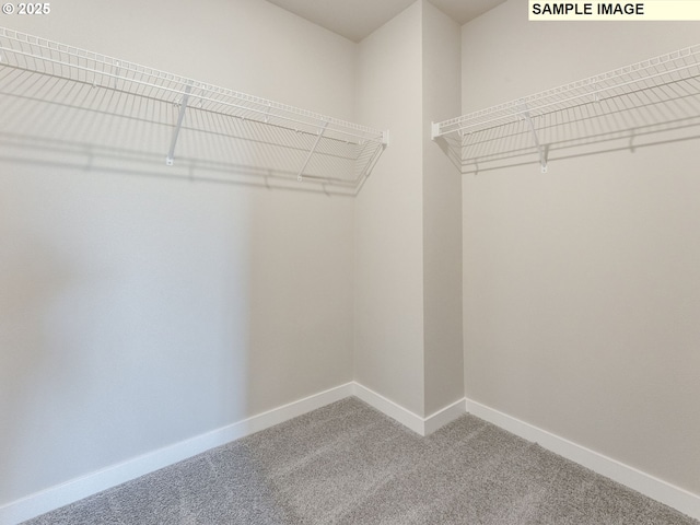 908 NW 178th Way, Ridgefield, WA 98642 - walk in closet featuring carpet flooring