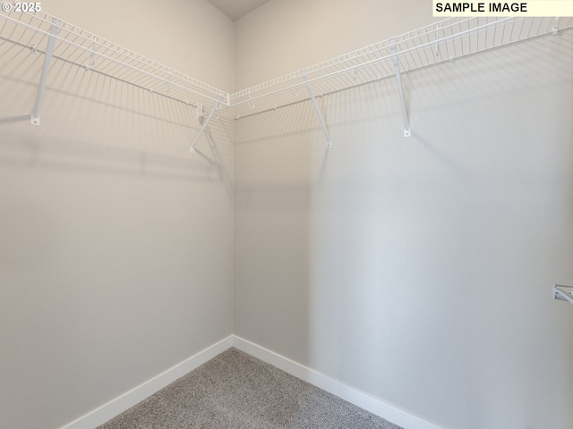 908 NW 178th Way, Ridgefield, WA 98642 - walk in closet featuring carpet floors