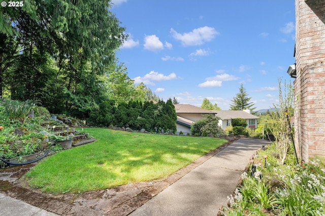 view of yard featuring driveway and a vegetable garden