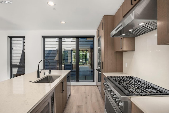 kitchen with sink, ventilation hood, light wood-type flooring, stainless steel appliances, and light stone countertops