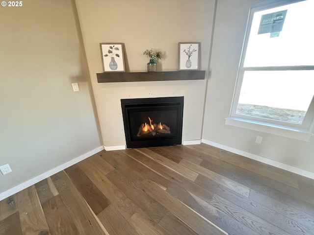 interior details with hardwood / wood-style floors