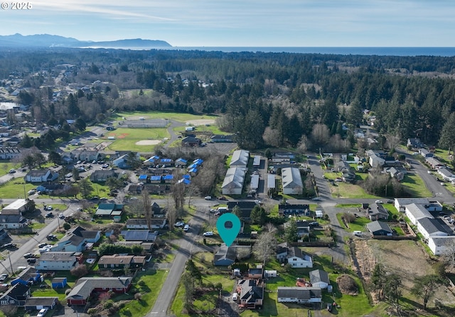 drone / aerial view featuring a mountain view