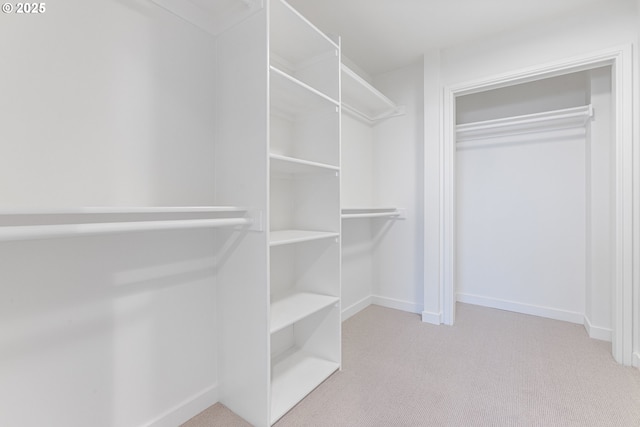 walk in closet featuring carpet flooring