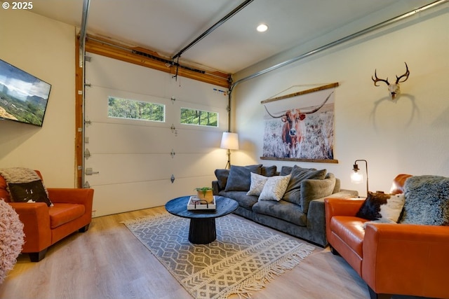 living room featuring wood-type flooring