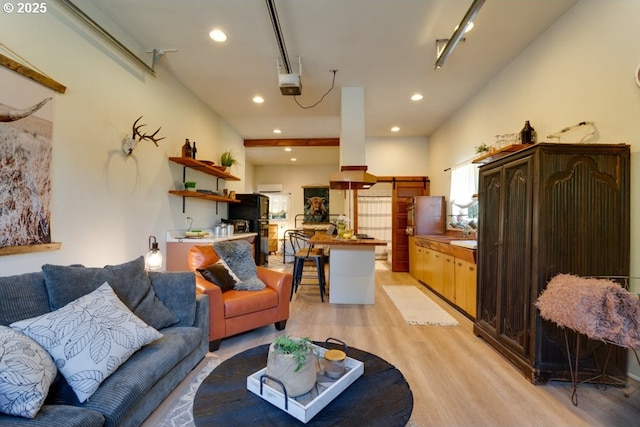 living room with light hardwood / wood-style floors