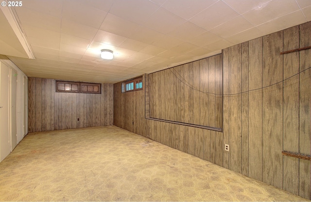 finished basement with wooden walls