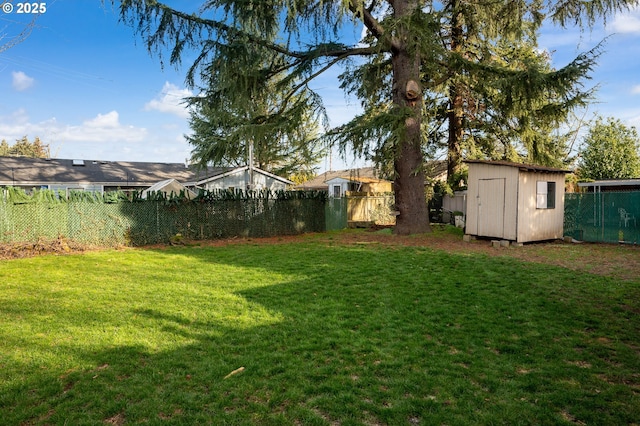 view of yard with a storage unit