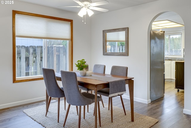 dining room with light hardwood / wood-style floors