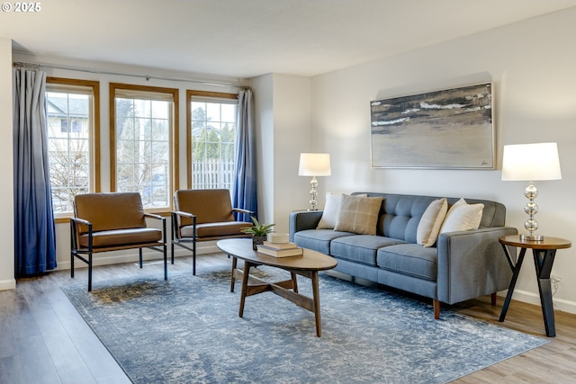 living room with wood-type flooring