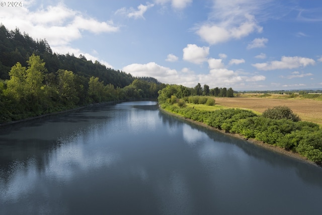 2604 S 8th Way, Ridgefield, WA 98642 - water view with a forest