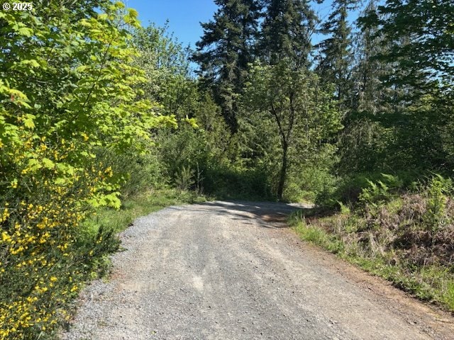 30725 S Wall St, Colton, OR 97017