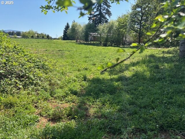 30725 S Wall St, Colton, OR 97017