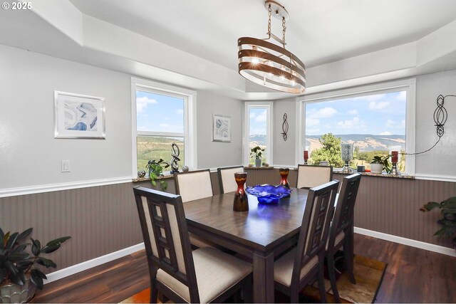 dining space featuring a mountain view and dark wood-type flooring