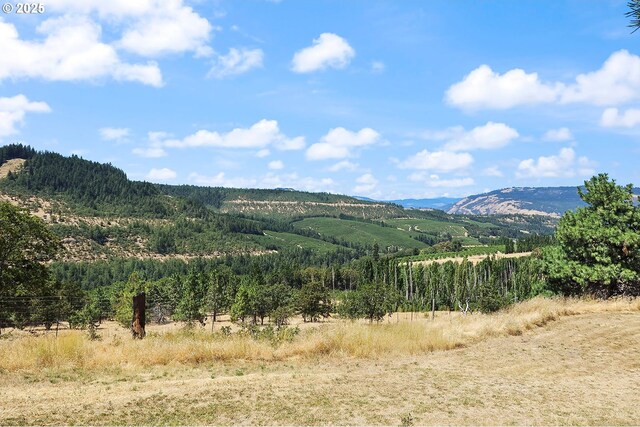 view of mountain feature featuring a rural view