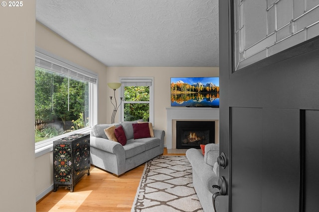 4545 SW Poplar Ln, Portland, OR 97225 - living room featuring wood finished floors, a textured ceiling, and a warm lit fireplace