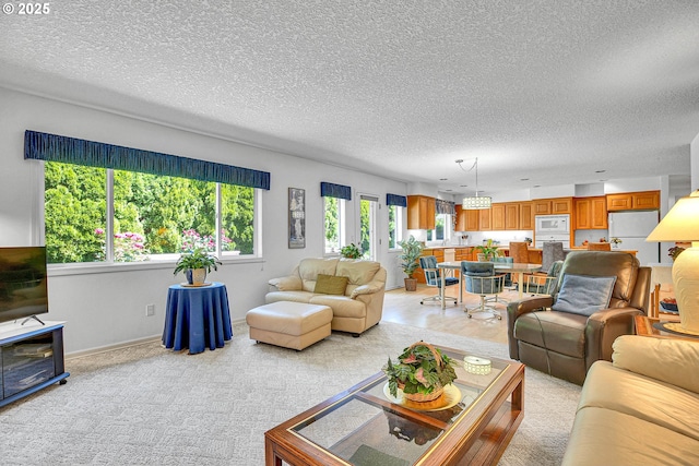 12459 SE Imperial Crest St, Happy Valley, OR 97086 - living room featuring a textured ceiling