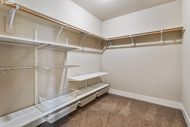 521 NE 77th Ave, Hillsboro, OR 97124 - spacious closet with carpet